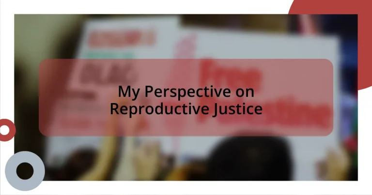 My Perspective on Reproductive Justice